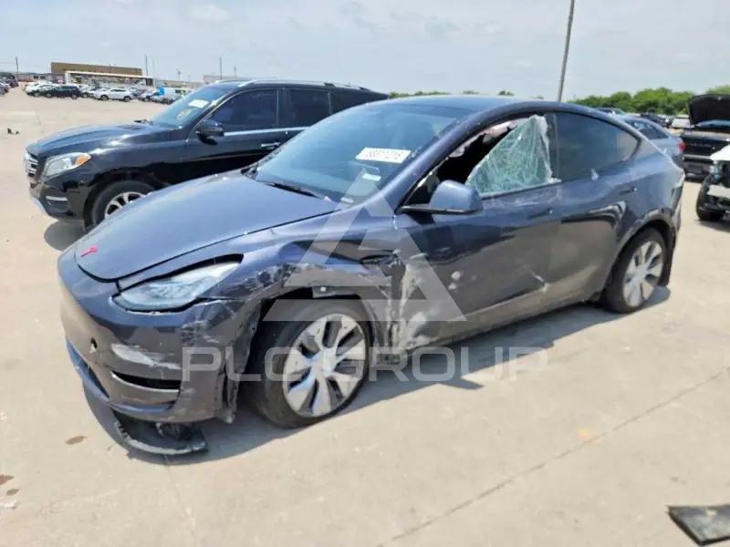 2023 Tesla Model Y photo