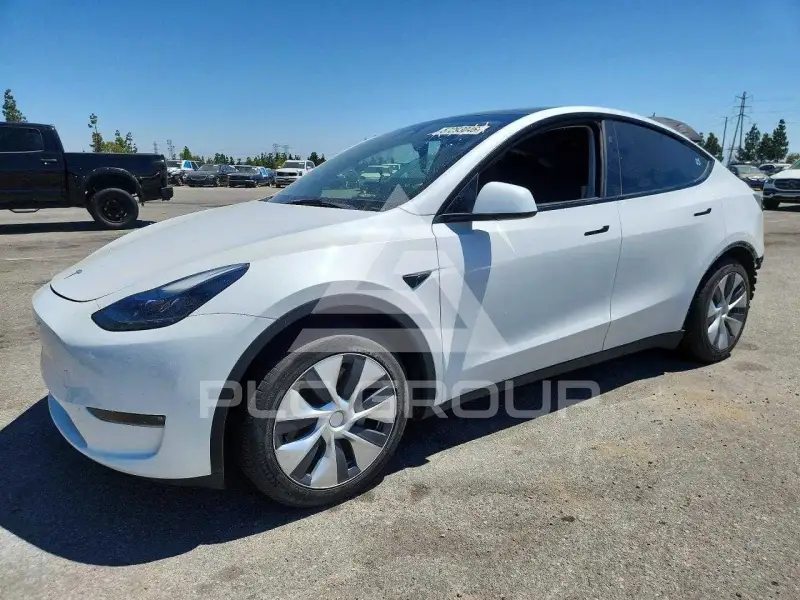 2023 Tesla Model Y фото