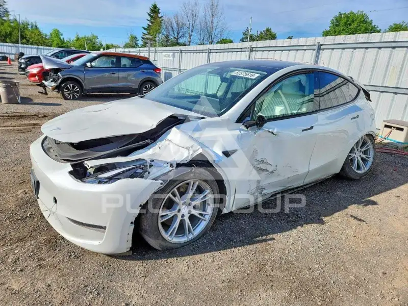 2023 Tesla Model Y photo