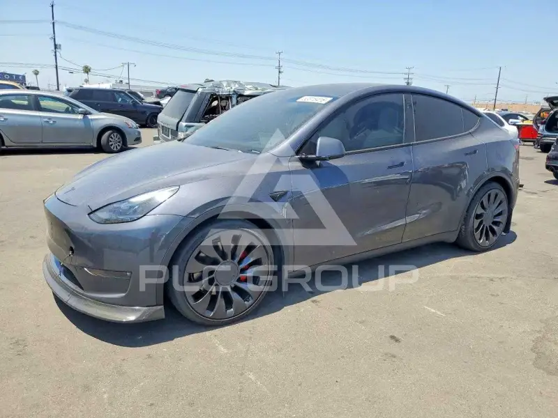 2023 Tesla Model Y photo
