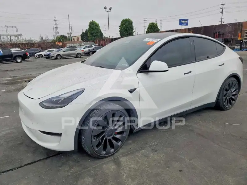 2023 Tesla Model Y фото