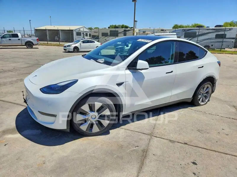 2023 Tesla Model Y photo