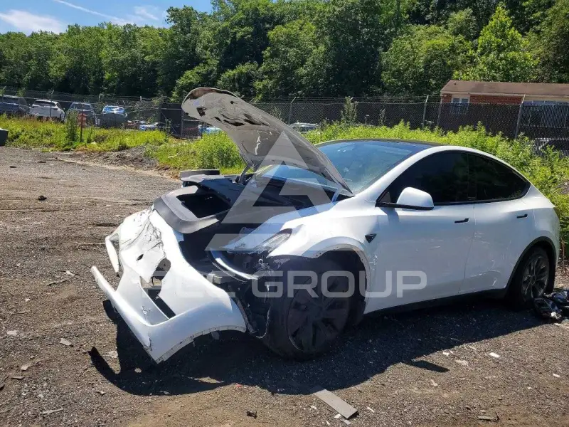 2023 Tesla Model Y фото