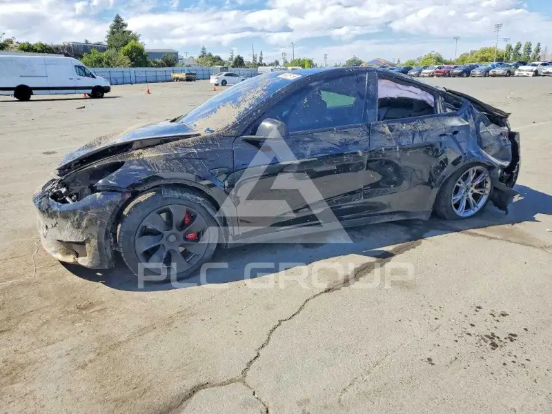 2023 Tesla Model Y photo