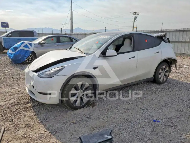 2023 Tesla Model Y фото