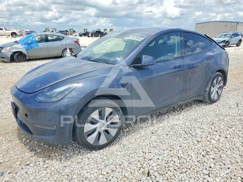 2023 Tesla Model Y фото