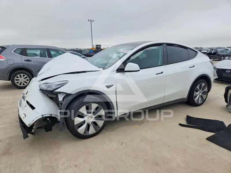 2023 Tesla Model Y фото