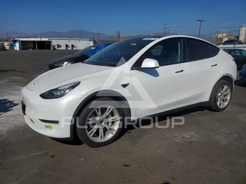 2023 Tesla Model Y photo