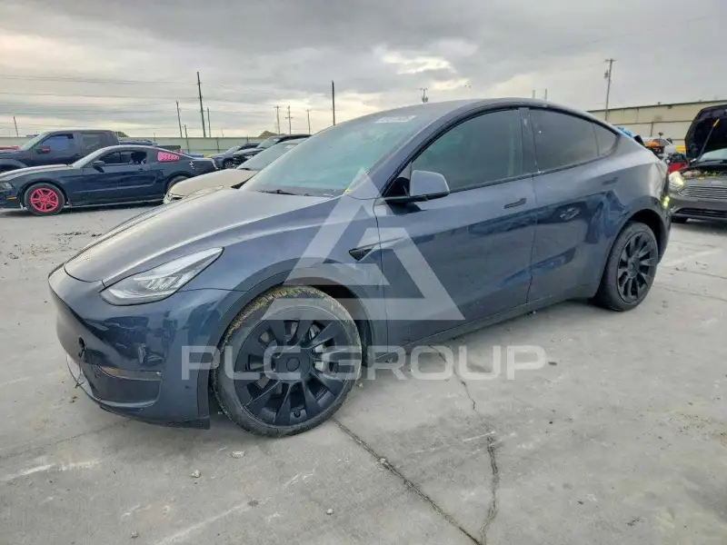 2023 Tesla Model Y фото