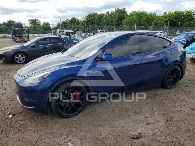 2023 Tesla Model Y photo