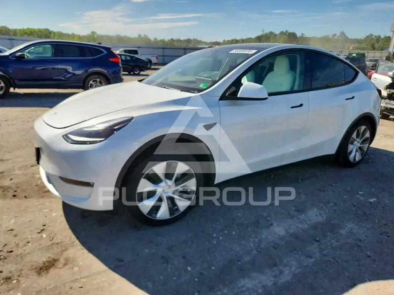 2023 Tesla Model Y фото