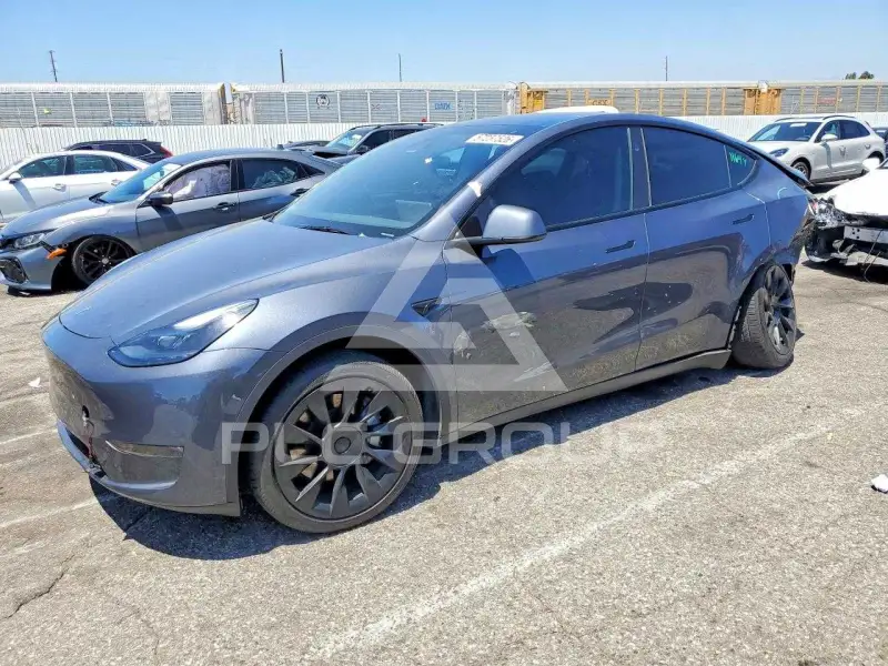 2023 Tesla Model Y photo