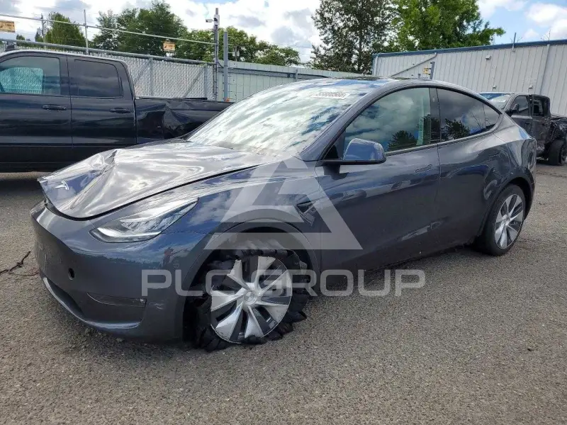 2023 Tesla Model Y photo