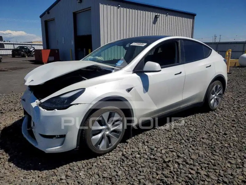 2023 Tesla Model Y photo