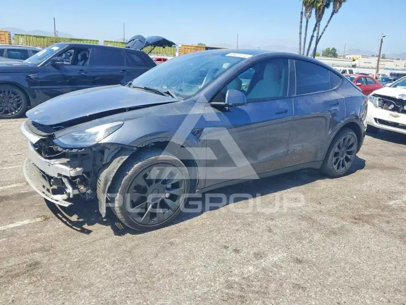 2023 Tesla Model Y photo