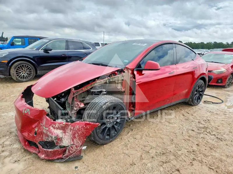 2023 Tesla Model Y фото