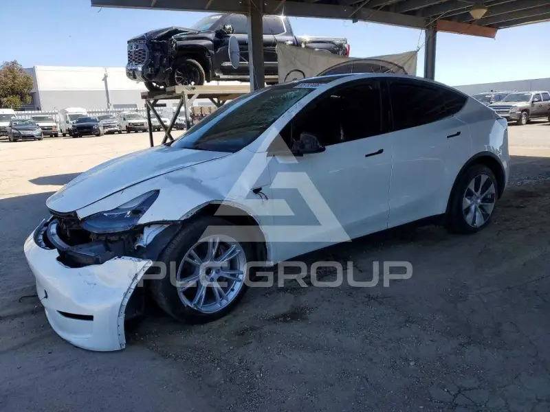 2023 Tesla Model Y фото