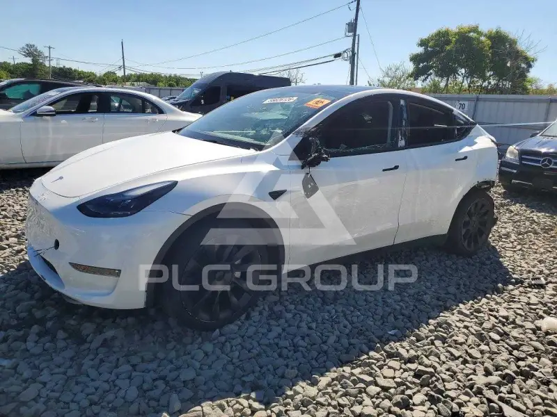 2023 Tesla Model Y фото