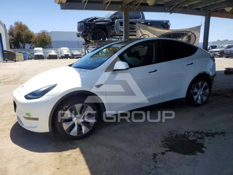 2023 Tesla Model Y фото