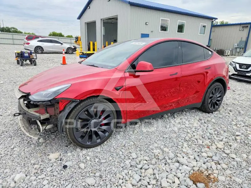 2023 Tesla Model Y фото