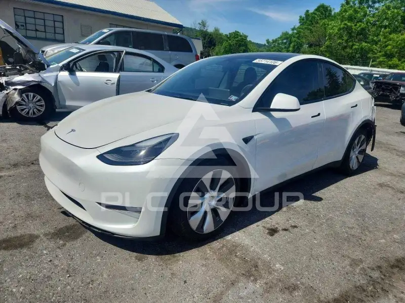 2023 Tesla Model Y фото