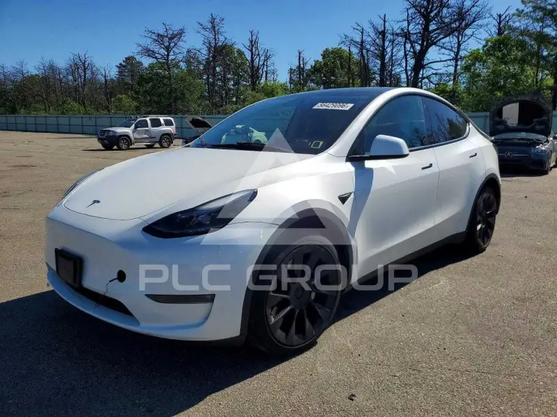 2023 Tesla Model Y фото
