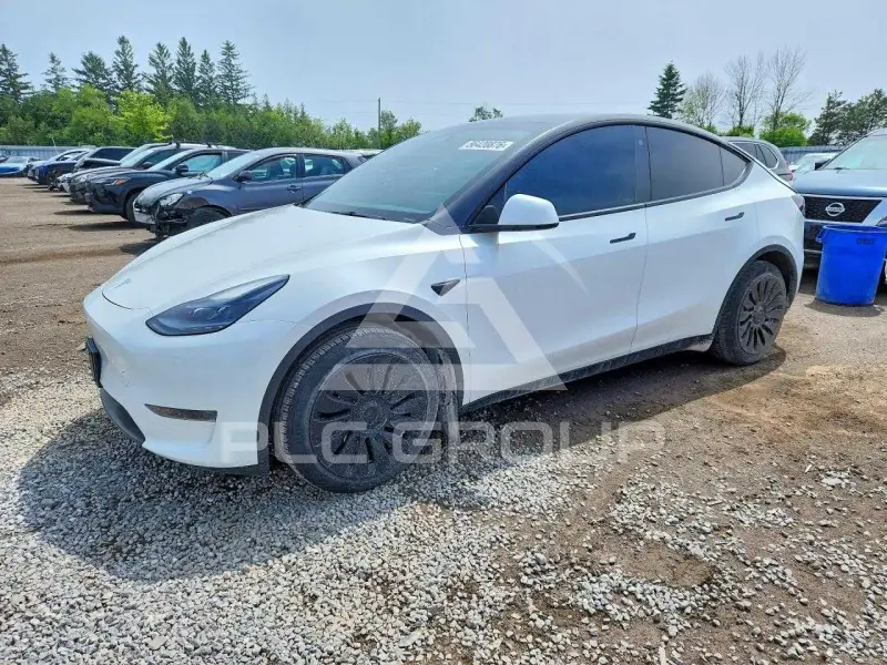 2023 Tesla Model Y фото