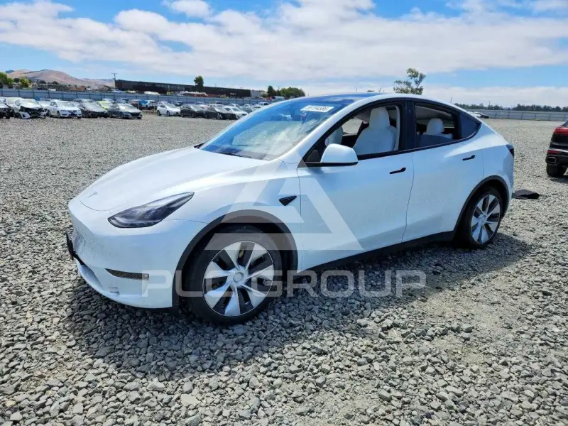 2023 Tesla Model Y фото