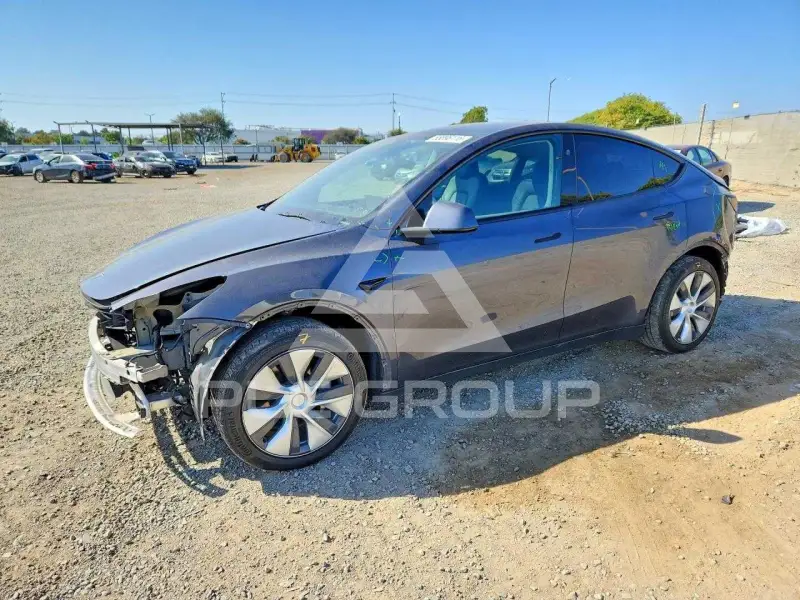 2023 Tesla Model Y фото