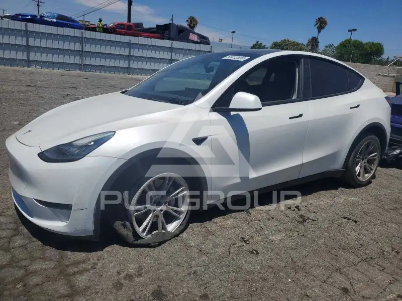 2023 Tesla Model Y фото