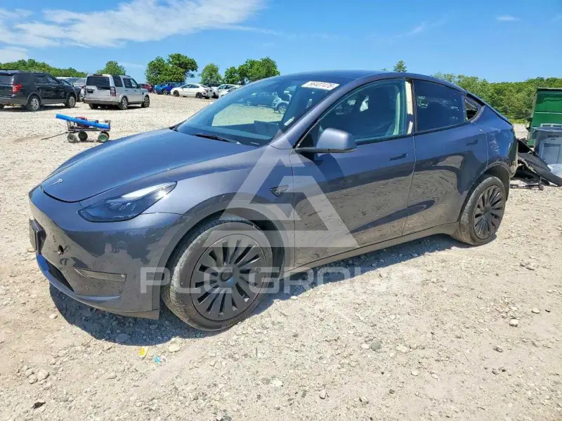 2023 Tesla Model Y фото