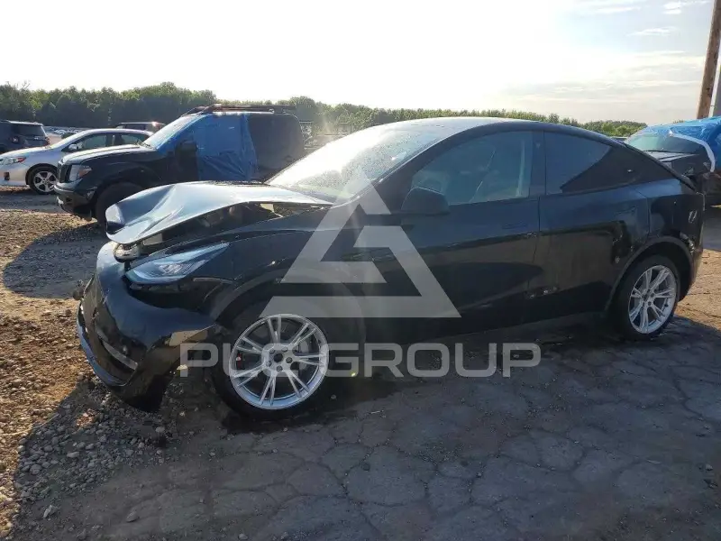 2023 Tesla Model Y photo