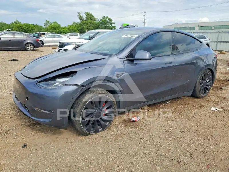 2023 Tesla Model Y photo