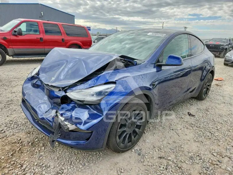 2023 Tesla Model Y фото