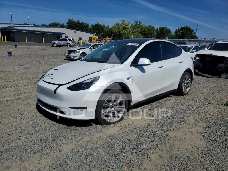 2023 Tesla Model Y фото