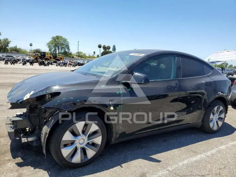 2023 Tesla Model Y фото