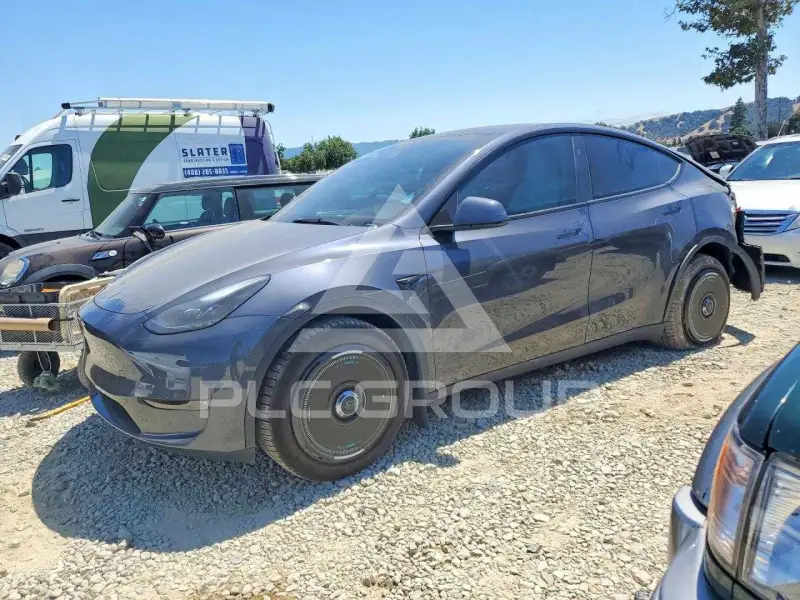 2023 Tesla Model Y фото