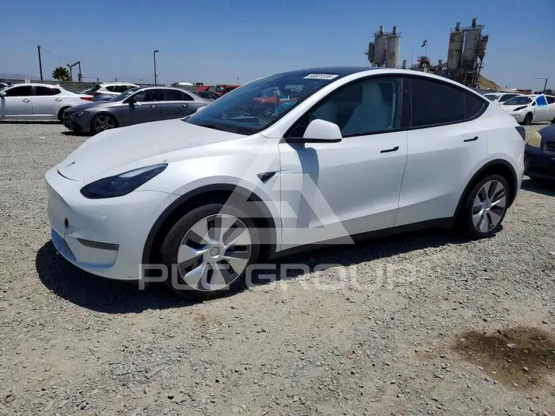 2023 Tesla Model Y фото