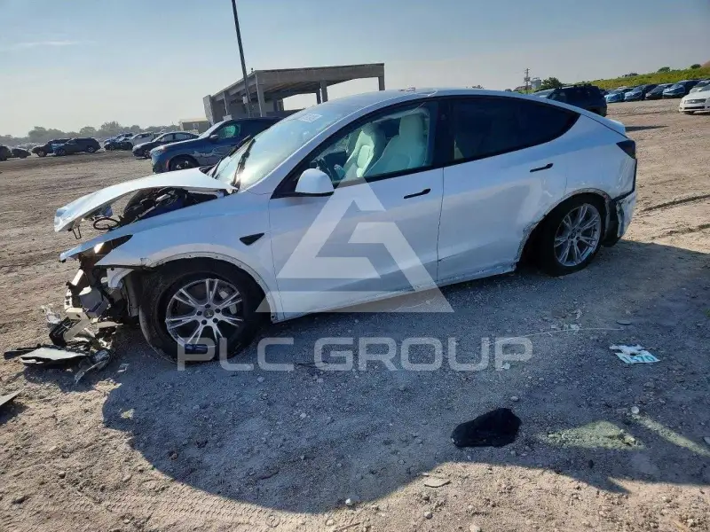 2023 Tesla Model Y photo