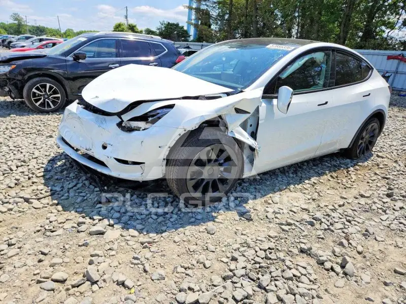 2023 Tesla Model Y фото