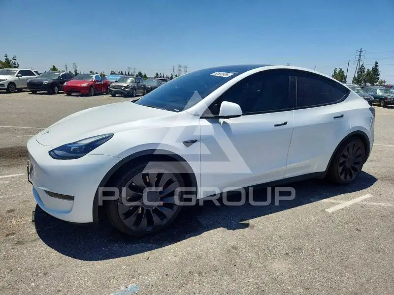 2023 Tesla Model Y фото