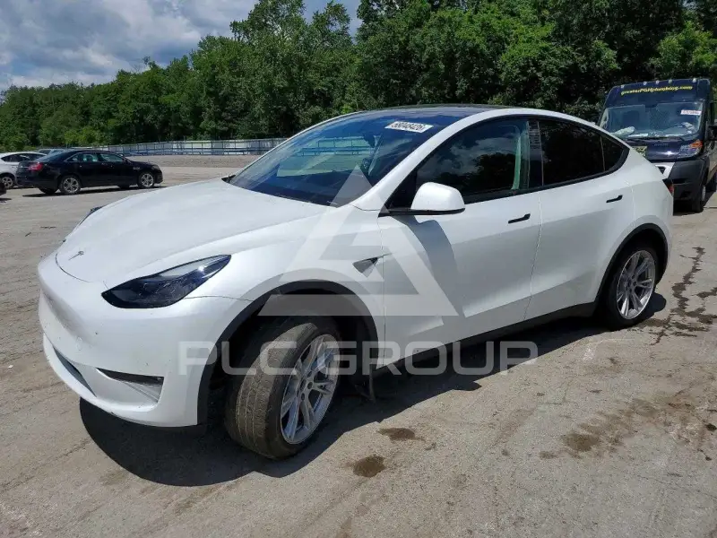 2023 Tesla Model Y photo