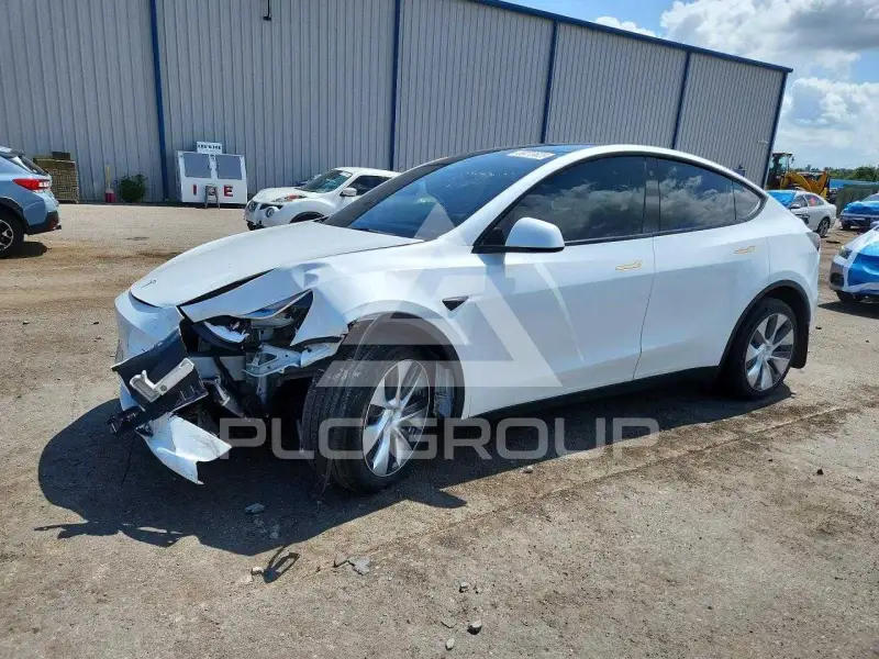 2023 Tesla Model Y photo