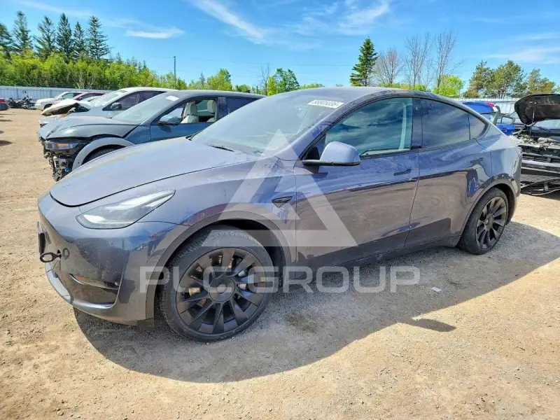 2023 Tesla Model Y фото