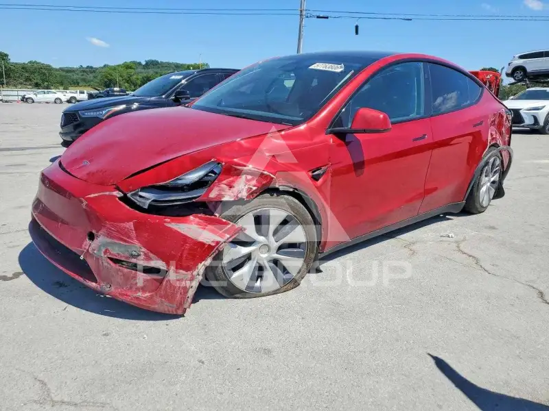 2023 Tesla Model Y photo