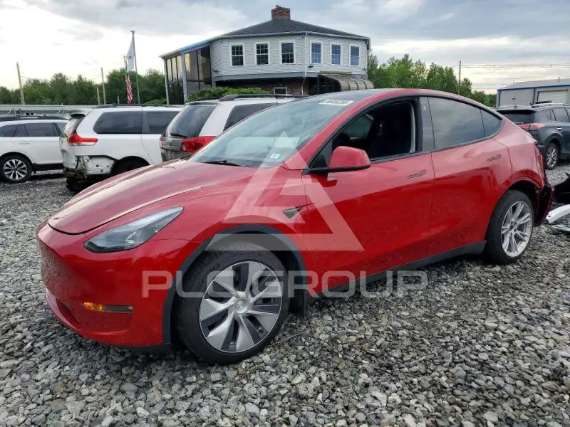 2023 Tesla Model Y фото