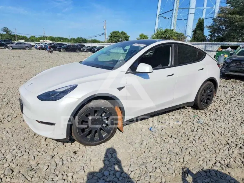 2023 Tesla Model Y фото