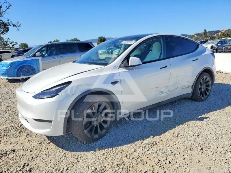 2023 Tesla Model Y фото