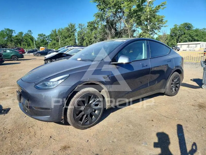 2023 Tesla Model Y фото