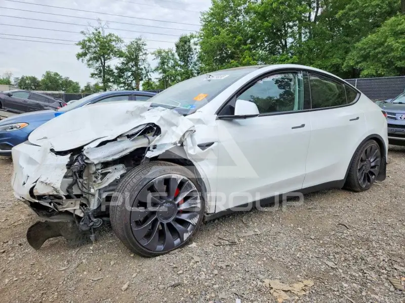2023 Tesla Model Y photo